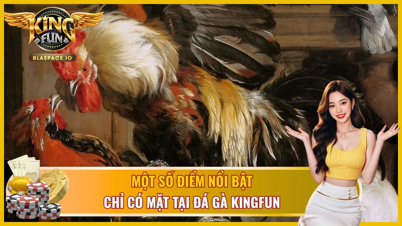 Điểm qua một số điểm nổi bật có tại đá gà cựa dao 