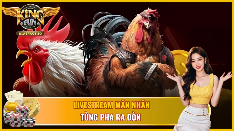 Livestream trực tiếp với những pha đá gà Philippines siêu cấp 
