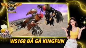 WS168 Đá Gà