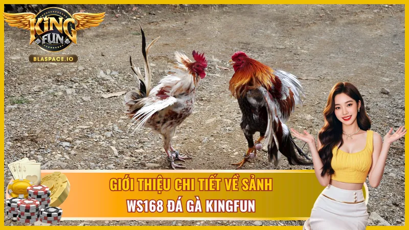 Khám phá về sảnh WS168 đá gà